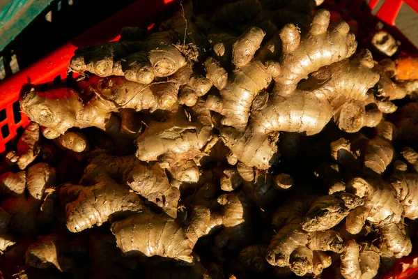 Ginger Organic Plantation Bucket Market Tarapoto Peruvian Jungle — Stock Photo, Image