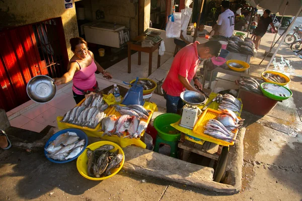 Тарапото Перу Октября 2022 Года Рыбная Лавка Городе Тарапото Перуанских — стоковое фото