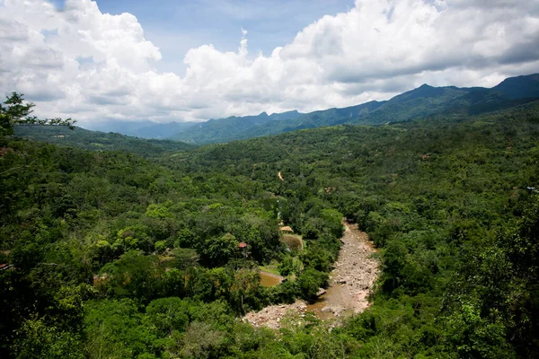 タラポト市内の視点からのペルーのジャングルのパノラマビュー — ストック写真
