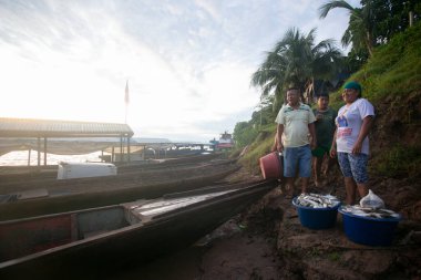 Yurimaguas, Peru 1 Ekim 2022: Balıkçılar Peru ormanlarındaki Huallaga Nehri 'nde teknelerinden balık indiriyorlar.