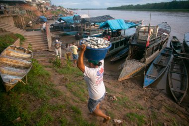 Yurimaguas, Peru 1 Ekim 2022: Balıkçılar Peru ormanlarındaki Huallaga Nehri 'nde teknelerinden balık indiriyorlar.