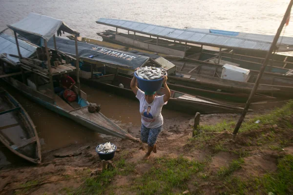 2022年10月1日ペルー ユリマグアス ペルーのジャングルのフアラガ川で漁船から魚を陸揚げする漁業者のコミュニティ — ストック写真