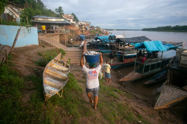 stock image Yurimaguas, Peru 1st October 2022: Community of fishermen unloading fish from their boats on the Huallaga River in the Peruvian jungle.