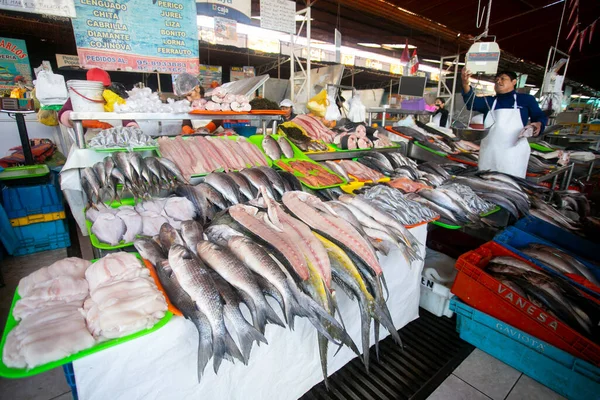 Arequipa Peru Října 2022 Rybí Stánky Potravinářském Trhu Sant Camilo — Stock fotografie