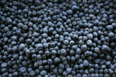 Arequipa, Peru 'daki merkez meyve ve sebze pazarında yaban mersini tezgahında..