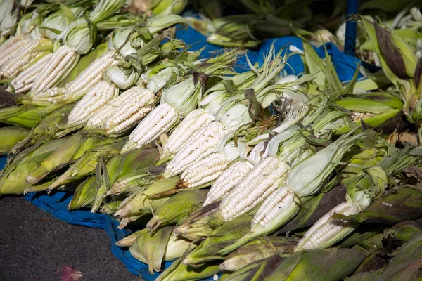 Orelhas Milho Uma Barraca Mercado Central Frutas Vegetais Arequipa Peru — Fotografia de Stock