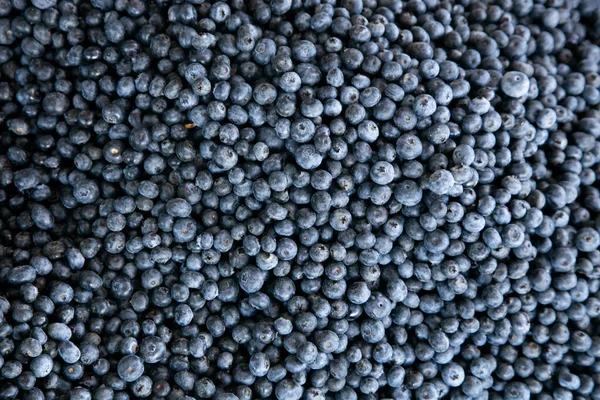 Blueberries Stall Central Fruit Vegetable Market Arequipa Peru — Stock Photo, Image