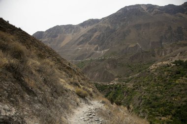 Peru 'daki Colca Kanyonu' nda yürürken San Juan de Chuccho manzarası.
