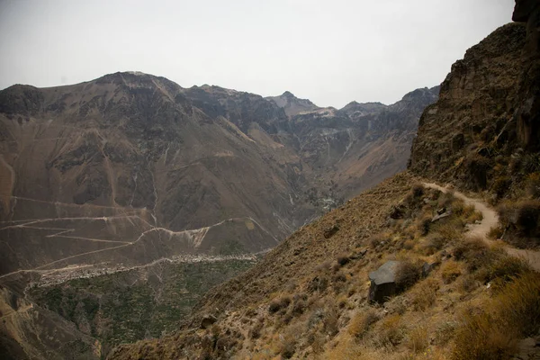 Näkymät Cosinhua Malata Aikana Kävellä Colca Canyon Perussa — kuvapankkivalokuva