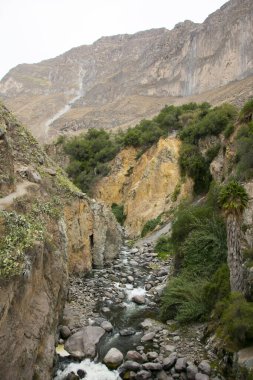 Cabanaconde 'dan Oasis' e giden yolu takip ederek Colca Kanyonu 'ndan yürü..