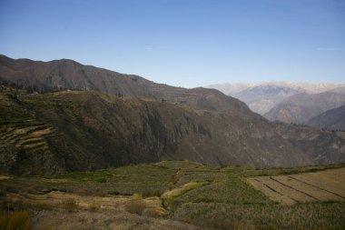 Cabanaconde 'dan Oasis' e giden yolu takip ederek Colca Kanyonu 'ndan yürü..