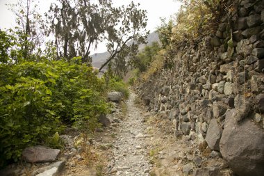 Cabanaconde 'dan Oasis' e giden yolu takip ederek Colca Kanyonu 'ndan yürü..