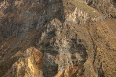 Cabanaconde 'dan Oasis' e giden yolu takip ederek Colca Kanyonu 'ndan yürü..