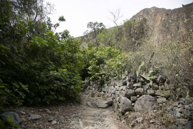 Cabanaconde 'dan Oasis' e giden yolu takip ederek Colca Kanyonu 'ndan yürü..