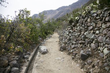 Cabanaconde 'dan Oasis' e giden yolu takip ederek Colca Kanyonu 'ndan yürü..