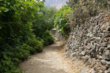 Cabanaconde 'dan Oasis' e giden yolu takip ederek Colca Kanyonu 'ndan yürü..