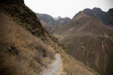 Cabanaconde 'dan Oasis' e giden yolu takip ederek Colca Kanyonu 'ndan yürü..