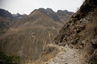 Cabanaconde 'dan Oasis' e giden yolu takip ederek Colca Kanyonu 'ndan yürü..