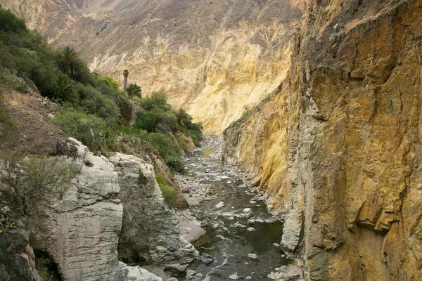 Mendaki Melalui Colca Canyon Mengikuti Rute Dari Cabanaconde Oasis — Stok Foto