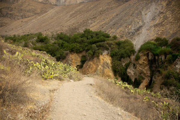 Hike Colca Canyon Route Cabanaconde Oasis — Stock Photo, Image