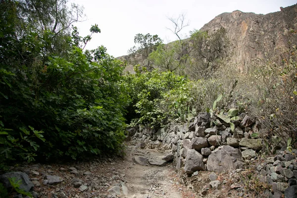 Escursione Attraverso Canyon Del Colca Seguendo Percorso Cabanaconde All Oasi — Foto Stock
