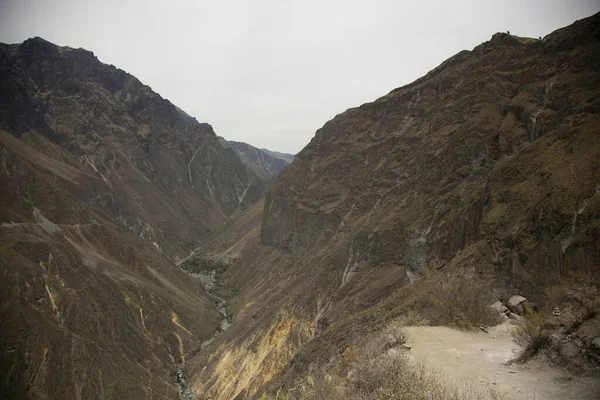 Wanderung Durch Den Colca Canyon Auf Dem Weg Von Cabanaconde — Stockfoto