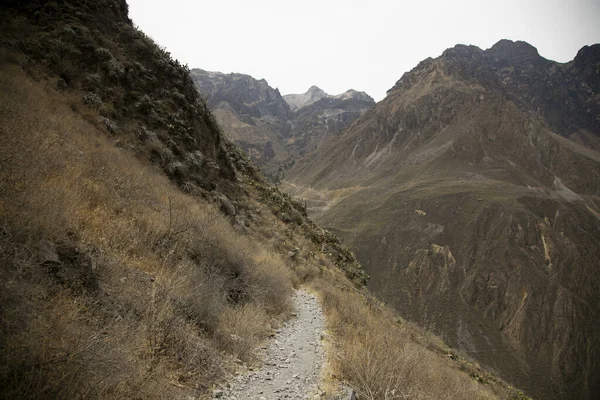 カバナコンデからオアシスへのルートに続くコルカキャニオンをハイキング — ストック写真