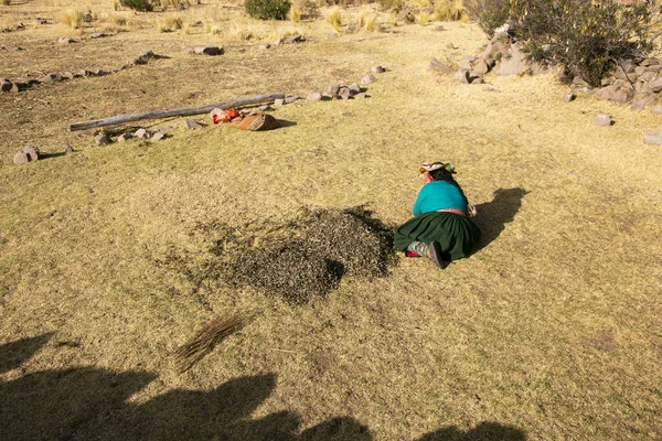 Ispi Tipo Peixe Pequeno Típico Lago Titicaca Eles São Comidos — Fotografia de Stock