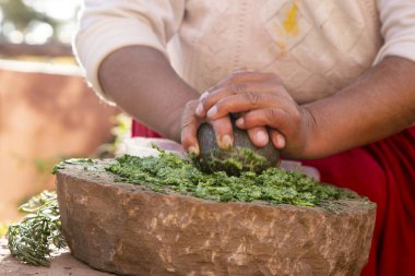 Peru 'daki Titicaca Gölü' ndeki Llachon bölgesinde doğal bitkisel şampuan hazırlayan kadın..