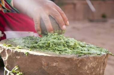 Peru 'daki Titicaca Gölü' ndeki Llachon bölgesinde doğal bitkisel şampuan hazırlayan kadın..