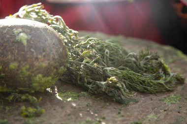 Peru 'daki Titicaca Gölü' ndeki Llachon bölgesinde doğal bitkisel şampuan hazırlayan kadın..