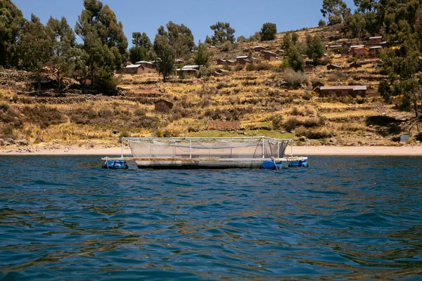 Peru Daki Titicaca Gölü Nde Alabalık Avlama Çiftliği — Stok fotoğraf