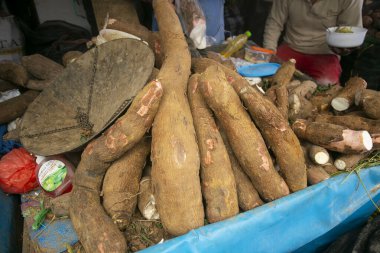 Cusco, Peru 'da bir markette organik yuca.