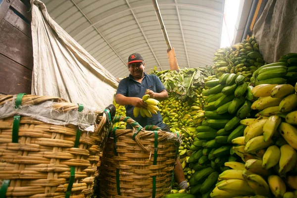 Lima Peru Januari 2023 Aktivitas Komersial Pasar Buah Pusat Kota — Stok Foto