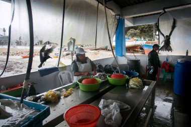 Lima, Peru; 1 Ocak 2023: Peru 'nun Lima kentindeki Chorios limanında balık temizleyen kadın.