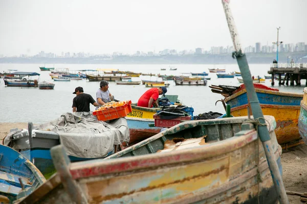 Lima Perú Enero 2023 Actividad Industria Pesquera Puerto Chorrios Ciudad — Foto de Stock