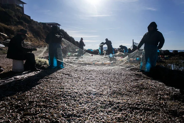 Taquile Perú Enero 2023 Pescadores Locales Península Llachon Trabajando Orillas — Foto de Stock