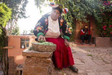 Llachon, Peru; 1 Ocak 2023: Peru, Titicaca Gölü 'nde Llachon bölgesinde doğal bitkisel şampuan hazırlayan kadın.