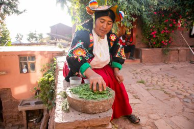 Llachon, Peru; 1 Ocak 2023: Peru, Titicaca Gölü 'nde Llachon bölgesinde doğal bitkisel şampuan hazırlayan kadın.