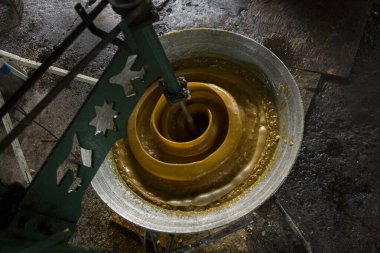 Tayland 'ın Samut Songkram bölgesindeki organik tarlada hindistan cevizi şeker tarlası.