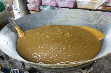 Tayland 'ın Samut Songkram bölgesindeki organik tarlada hindistan cevizi şeker tarlası.