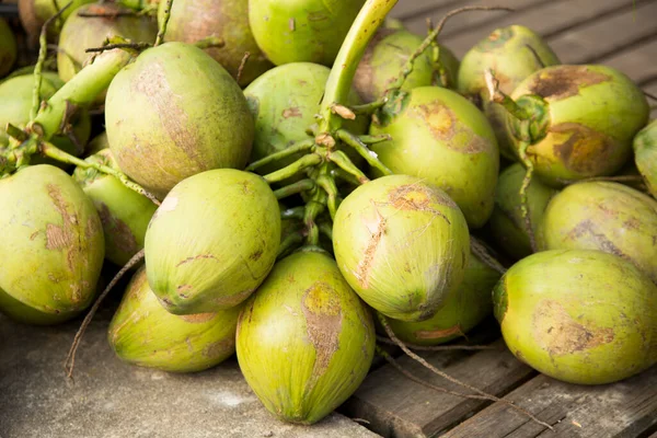 Kokosnötter Ett Kokosnötsträd Ekologisk Gård Samut Songkram Provinsen Thailand — Stockfoto