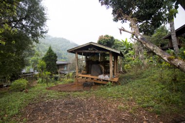 Tayland 'ın Chiang Rai eyaletindeki yerli yüksek tepeli kabile köyü..