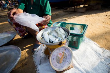 Tayland 'ın güneyinde Sichon' da bir sahil pazarında balık tezgahı..