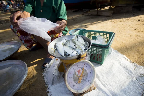 Rybí Stánek Plážovém Trhu Provincii Sichon Jižním Thajsku — Stock fotografie