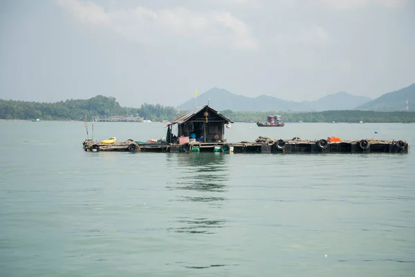 泰国南部高瑶岛上的龙虾养殖场 — 图库照片