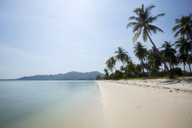 Tayland 'ın güneyindeki Ko Yao adasındaki güzel bir paradisiacal plajın manzarası..