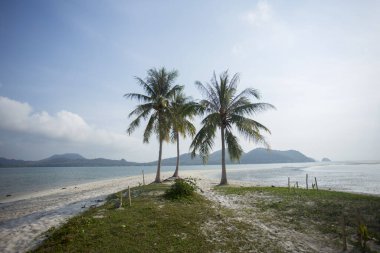 Tayland 'ın güneyindeki Ko Yao adasındaki güzel bir paradisiacal plajın manzarası..