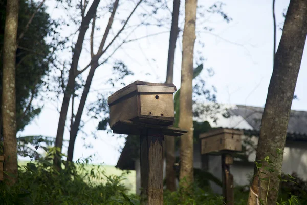 Wooden bee house on a farm on the island of Ko Yao in southern Thailand.