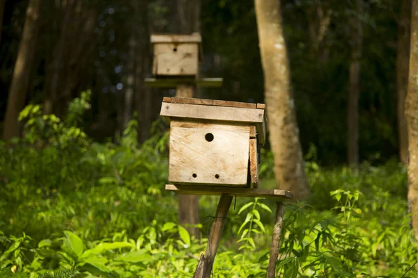 Деревянный Пчелиный Домик Ферме Острове Юге Таиланда — стоковое фото